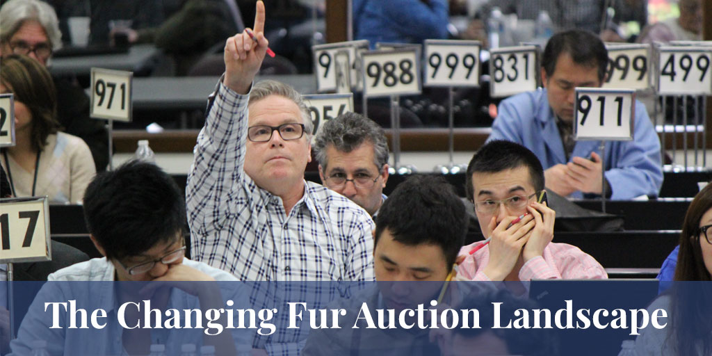 fur auction in Ontario