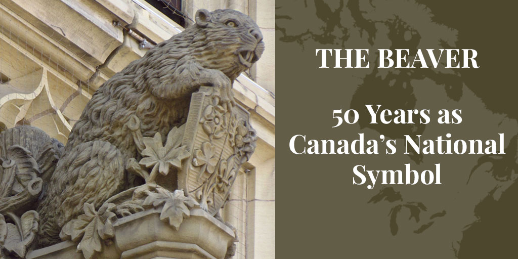 North American beaver – Canada's national symbol