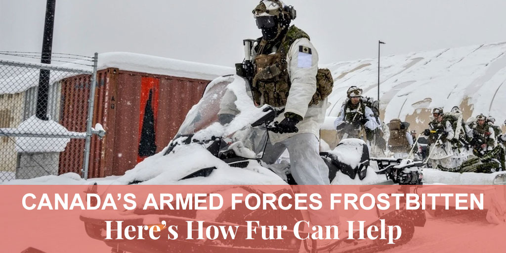 Canada's Armed Forces frostbitten