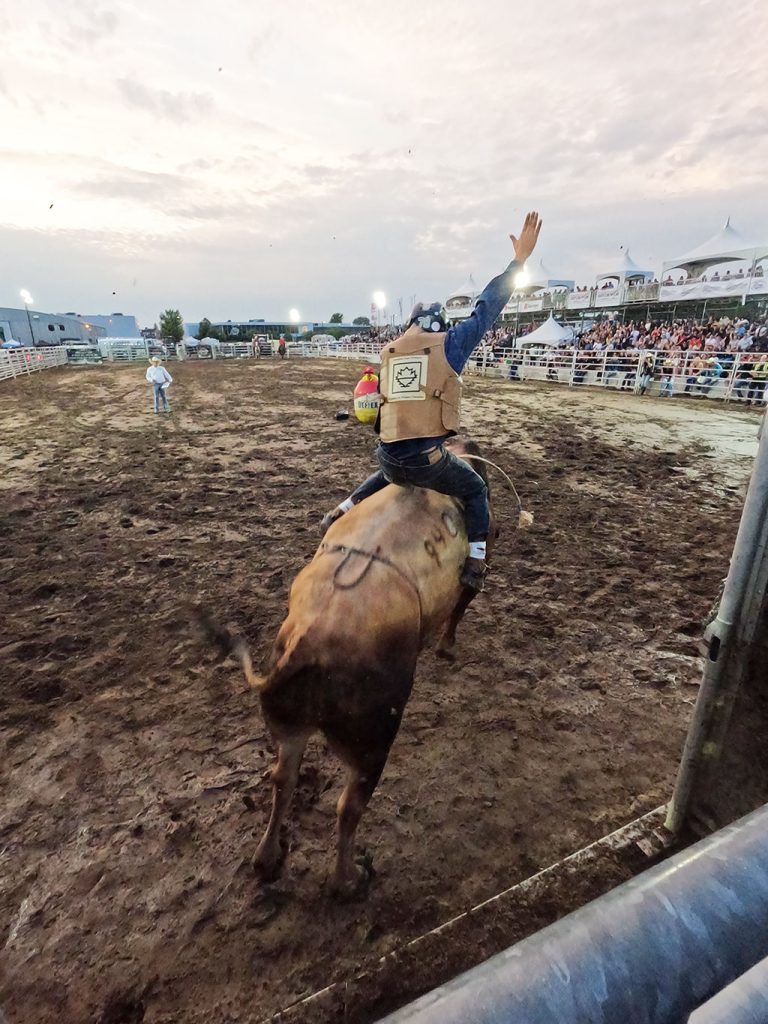 bull rider Benjamin Shaw in action