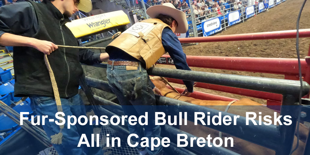 bull rider Benjamin Shaw