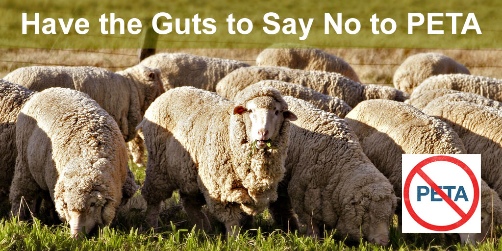 say no to PETA